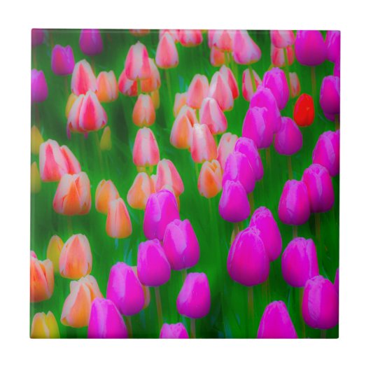 Carreau Conception florale de tulipe rose et orange (Devant)