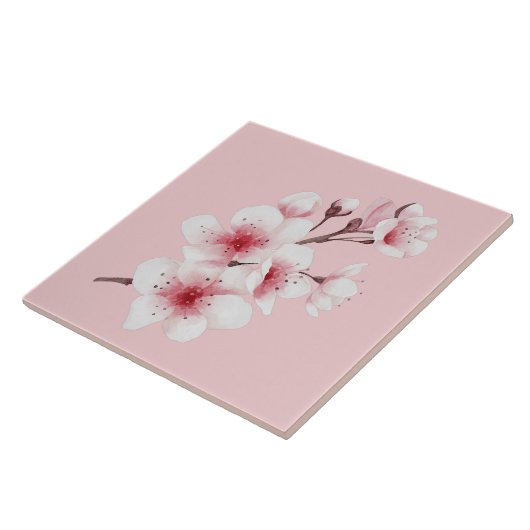 Carreau Conception Okinawa Series 30 (Côté)