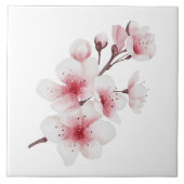 Carreau Conception Okinawa Series 30 (Devant)