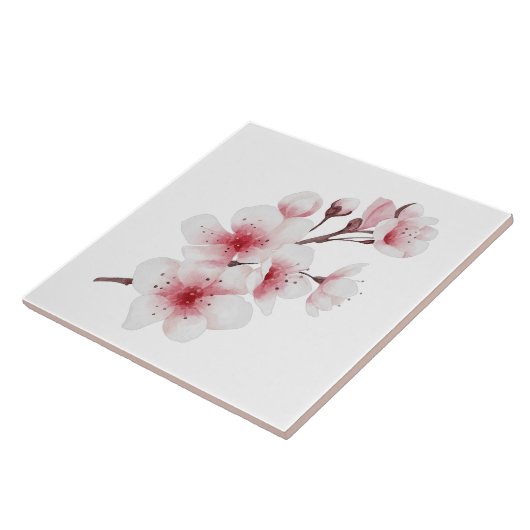 Carreau Conception Okinawa Series 30 (Côté)