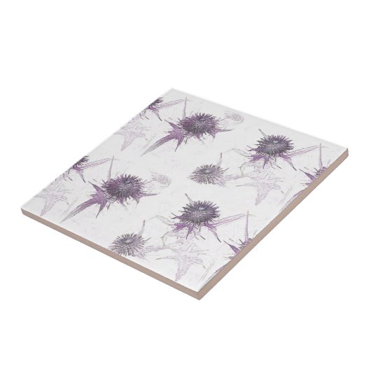 Carreau Conception pourpre de nature de chardon (Côté)