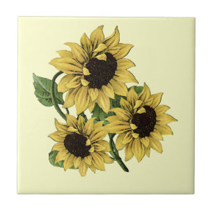 Carreau Conception vintage de tournesol d'aquarelle