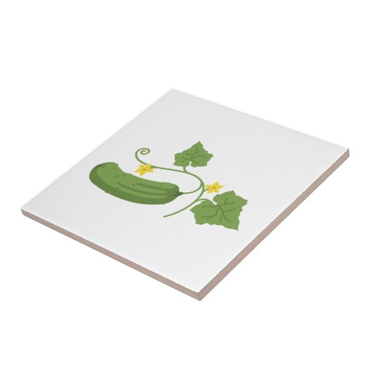 Carreau Concombre (Côté)