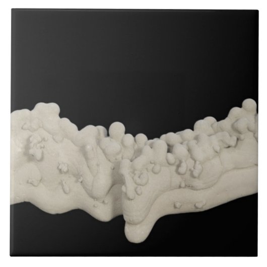 Carreau Concrétion d'argile (Devant)