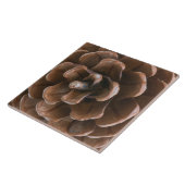 Carreau Cône de pin (Côté)