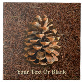 Carreau Cône De Pin Sur Aiguilles Tombées (Devant)