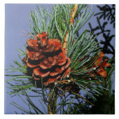 Carreau Cône de pin sur la branche de pin (Devant)