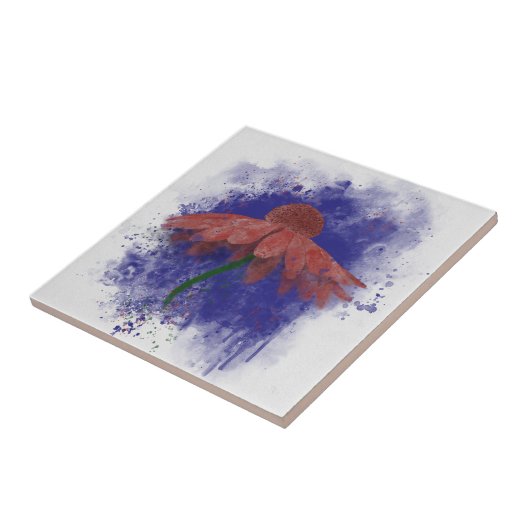 Carreau Coneflower (Côté)