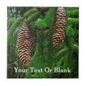 Carreau Cônes Et Aiguilles (Devant)