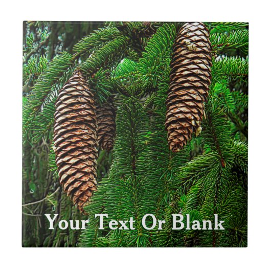 Carreau Cônes Et Aiguilles (Devant)