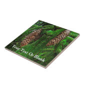 Carreau Cônes Et Aiguilles (Côté)