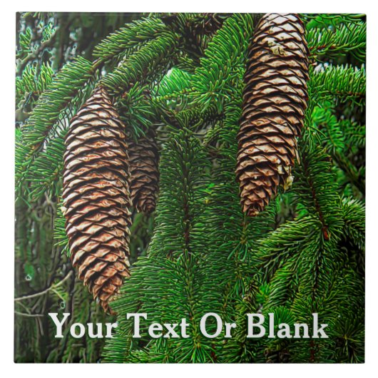 Carreau Cônes Et Aiguilles (Devant)