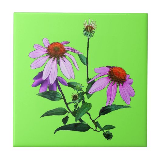 Carreau Confleur violet sur vert (Devant)