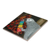 Carreau Congo African Grey Parrot Joyeux sapin de Noël (Côté)