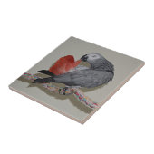 Carreau Congo Afrique : La queue de perroquet gris prédit (Côté)