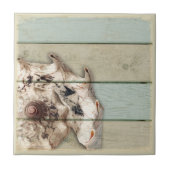 Carreau Conque de couronne (Devant)