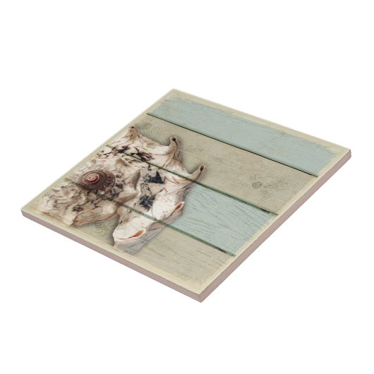 Carreau Conque de couronne (Côté)