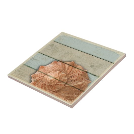 Carreau Conque Shell (Côté)