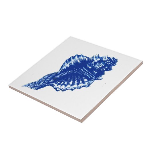 Carreau Conque Shell, bleu d'indigo et blanc (Côté)