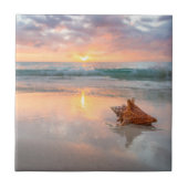 Carreau Conque Shell sur la plage | Jamaïque (Devant)