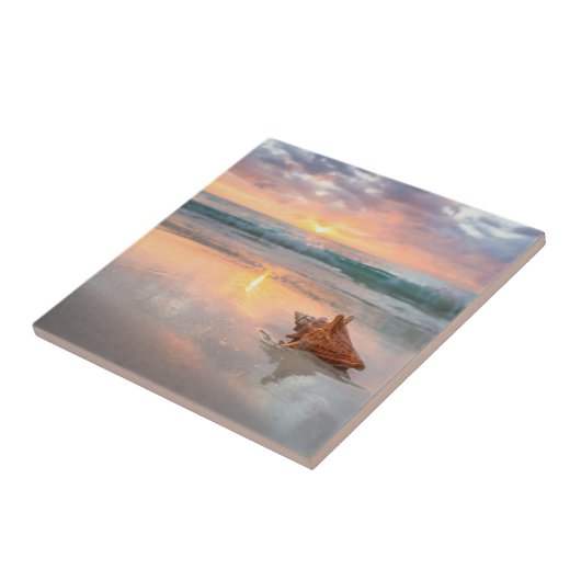 Carreau Conque Shell sur la plage | Jamaïque (Côté)