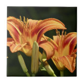 Carreau Considérons Les Lilies Du Terrain (Devant)