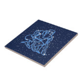 Carreau Constellation Aquarius et signe solaire avec Stars (Côté)