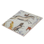 Carreau Constellation de Monoceros avec le commandant de (Côté)