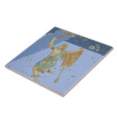 Carreau Constellation d'Orion, de "Uranometria" par Joha (Côté)