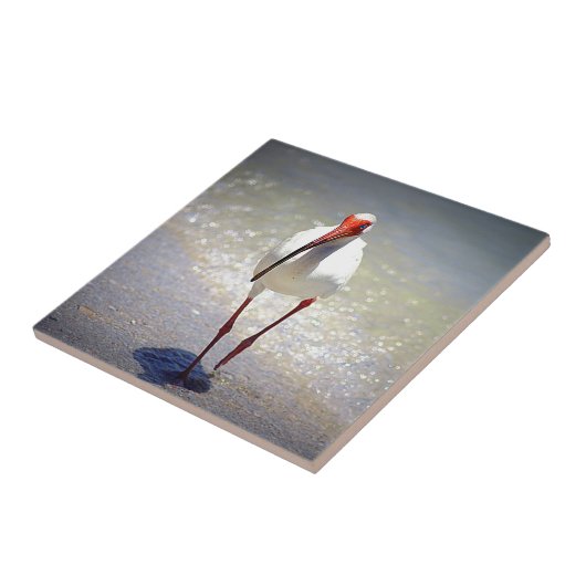 Carreau Contrefiche blanche d'IBIS (Côté)