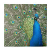 Carreau Contrefiche de paon (Devant)