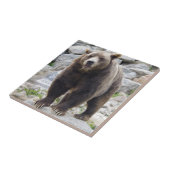 Carreau Cook bear (Côté)