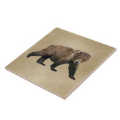 Carreau Cook bear (Côté)