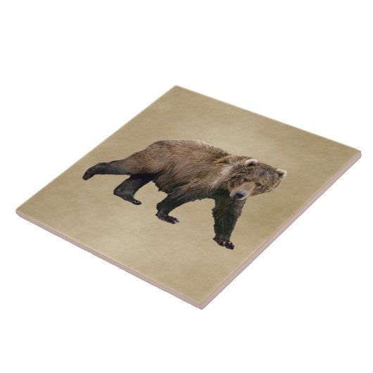 Carreau Cook bear (Côté)