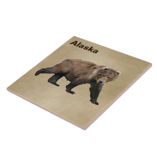 Carreau Cook bear (Côté)