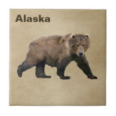 Carreau Cook bear (Devant)