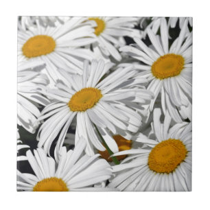 Carreau Copie de fleur de marguerite assez blanche