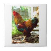 Carreau Coq coloré (Devant)