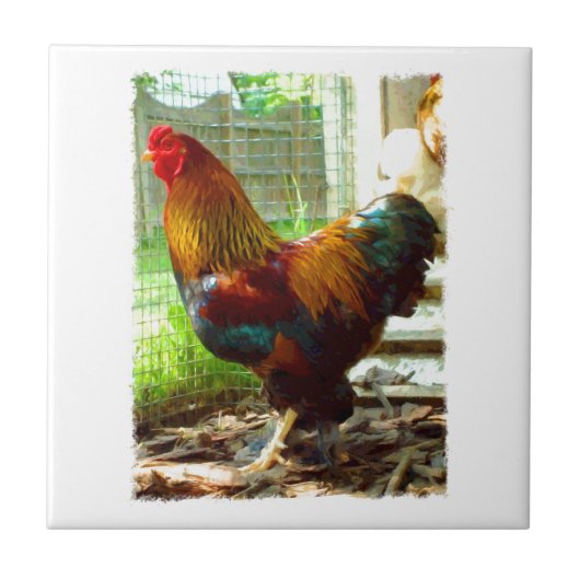 Carreau Coq coloré (Devant)