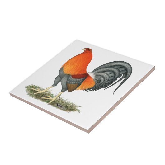 Carreau Coq de combat bleu coq rouge (Côté)