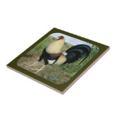 Carreau Coq de combat de route de campagne (Côté)