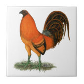 Carreau Coq de combat Ginger Rouge (Devant)