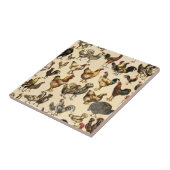 Carreau Coq de ferme de volaille et Hen Art (Côté)