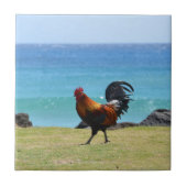 Carreau Coq de Kauai (Devant)