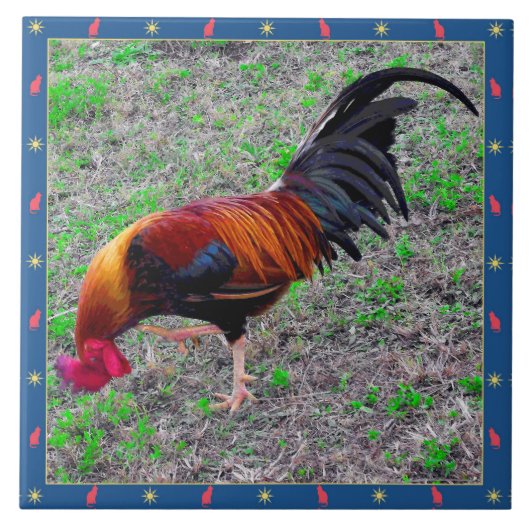 Carreau Coq de Key West (Devant)