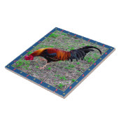 Carreau Coq de Key West (Côté)