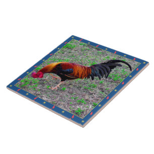 Carreau Coq de Key West