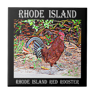 Carreau Coq de rouge d'île de Rhode