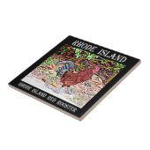 Carreau Coq de rouge d'île de Rhode (Côté)