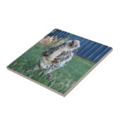Carreau Coq d'oeuf de Pâques (Côté)